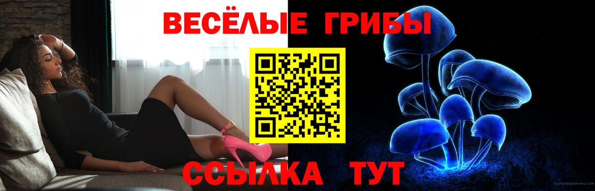 Галлюциногенные грибы GOLDEN TEACHER Коряжма